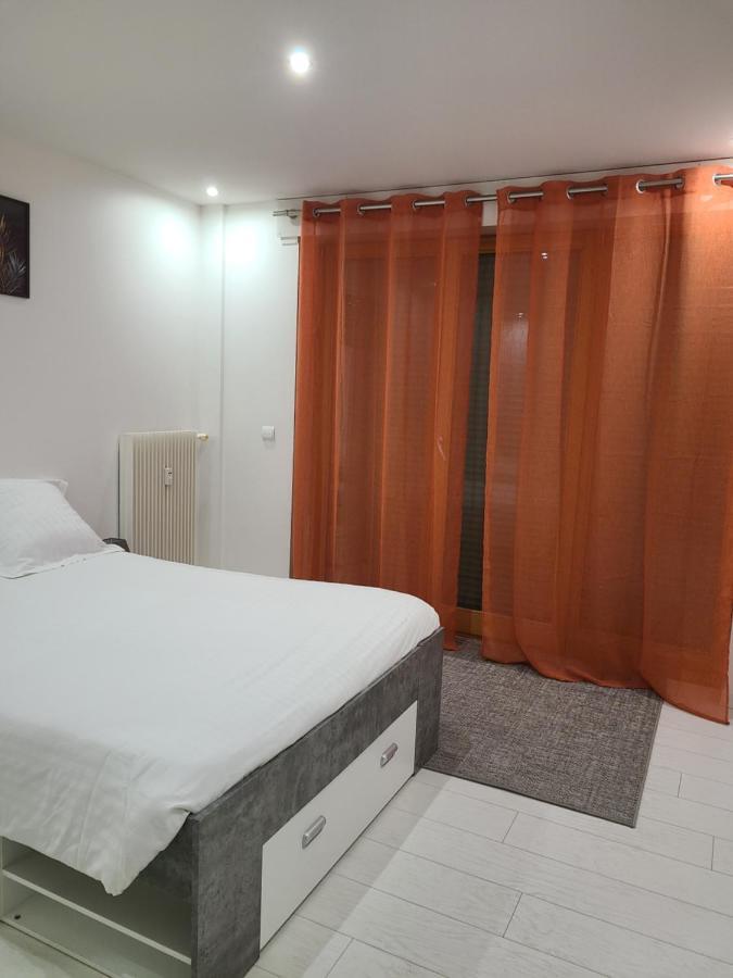Appartement Meuble Aux Portes De Geneve อานมาส ภายนอก รูปภาพ